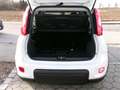 Fiat Panda Hybrid 1.0 Komfortpaket Blanco - thumbnail 15