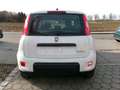 Fiat Panda Hybrid 1.0 Komfortpaket Blanco - thumbnail 6