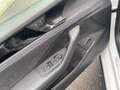 Volkswagen Passat Variant R-Line 2.0TDI 4MOTION Pano AHK Ha Weiß - thumbnail 13