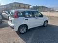 Fiat Panda 1.2 Easy easypower Gpl 69cv Bianco - thumbnail 5