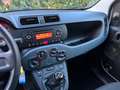 Fiat Panda 1.2 Easy easypower Gpl 69cv Bianco - thumbnail 11