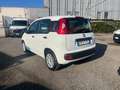 Fiat Panda 1.2 Easy easypower Gpl 69cv Bianco - thumbnail 7