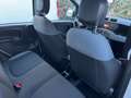 Fiat Panda 1.2 Easy easypower Gpl 69cv Bianco - thumbnail 14