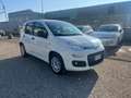 Fiat Panda 1.2 Easy easypower Gpl 69cv Bianco - thumbnail 4