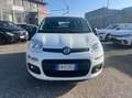 Fiat Panda 1.2 Easy easypower Gpl 69cv Bianco - thumbnail 3
