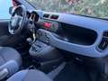 Fiat Panda 1.2 Easy easypower Gpl 69cv Bianco - thumbnail 12