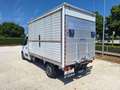 Renault Master T35 2.3 dCi/145 PL Cabinato Twin Turbo S&S N°FL61 Weiß - thumbnail 12