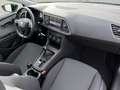 SEAT Leon 1.6 TDI Style 189€ o. Anzahlung FR-Line Optik Na Black - thumbnail 11