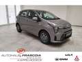 Kia Picanto 1.0 VISION Navi PDC SHZ Rückfahrkam Bluetooth Appl Gris - thumbnail 3