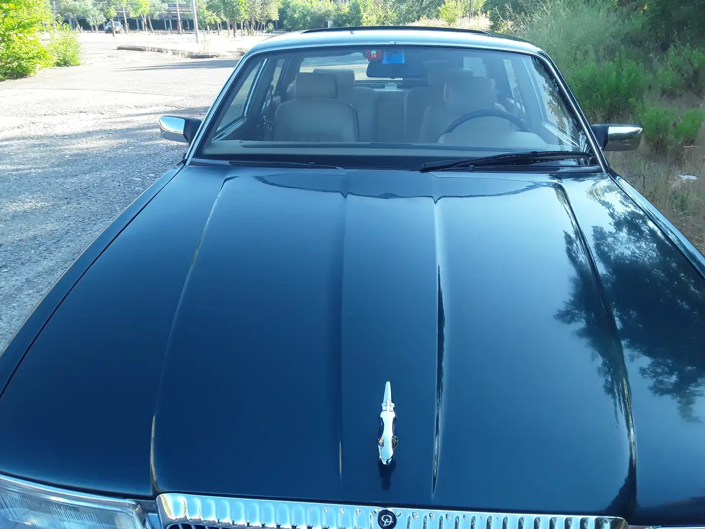 Jaguar Sovereign Berlina Verde - 1