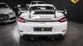 Porsche Cayman GT4 RS PDK Blanco - thumbnail 6