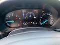 Ford Focus Turnier 1.0 EcoBoost Mild-Hybrid S/S Titanium Grau - thumbnail 15