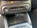 Ford Focus Turnier 1.0 EcoBoost Mild-Hybrid S/S Titanium Grau - thumbnail 18