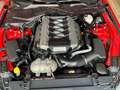 Ford Mustang Deportivo Automático de 2 Puertas Rouge - thumbnail 13