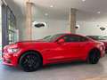 Ford Mustang Deportivo Automático de 2 Puertas Rouge - thumbnail 11