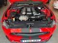 Ford Mustang Deportivo Automático de 2 Puertas Rouge - thumbnail 12