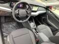 Skoda Octavia Combi Selection DSG AHK-Vorb.*Navi*Matrix*ACC*Kame Rot - thumbnail 10