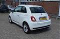 Fiat 500 1.0 Hybrid Cult Nap / Navi / Airco / Lmv. / Dab Bianco - thumbnail 2