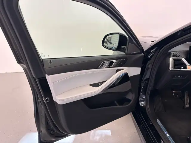 BMW X6 view 10