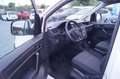 Volkswagen Caddy Nfz Kasten EcoProfi BMT Klima Euro 6 Weiß - thumbnail 11
