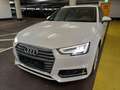 Audi A4 Avant 40TDI quattro sport Matrix LED*Panorama Weiß - thumbnail 3
