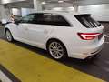 Audi A4 Avant 40TDI quattro sport Matrix LED*Panorama Weiß - thumbnail 16