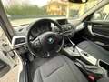 BMW 116 1.6 BENZINA CAMBIO AUTOMATICO SI A NEOPATENTATI Weiß - thumbnail 8