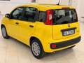 Fiat Panda Pandina 1.0 firefly hybrid Icon s Giallo - thumbnail 6