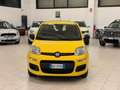 Fiat Panda Pandina 1.0 firefly hybrid Icon s Giallo - thumbnail 1