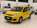 Fiat Panda Pandina 1.0 firefly hybrid Icon s Giallo - thumbnail 2