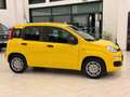 Fiat Panda Pandina 1.0 firefly hybrid Icon s Giallo - thumbnail 4