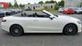 Mercedes-Benz E 400 d 4M Cabrio BURM ACC SitzLüft 360 StHz 20" Bílá - thumbnail 8