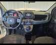 Fiat Panda Cross 1.0 FireFly Hybrid Bianco - thumbnail 5