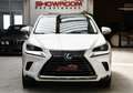 Lexus NX 300h E-Four Executive 1.Hd 19% MwSt. Panorama Білий - thumbnail 5