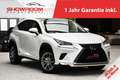 Lexus NX 300h E-Four Executive 1.Hd 19% MwSt. Panorama Білий - thumbnail 1