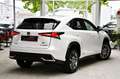 Lexus NX 300h E-Four Executive 1.Hd 19% MwSt. Panorama Білий - thumbnail 4