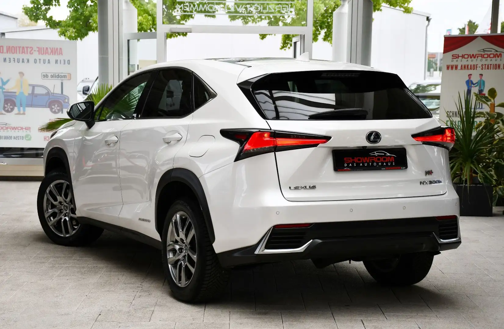 Lexus NX 300h E-Four Executive 1.Hd 19% MwSt. Panorama Білий - 2