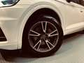 Audi Q5 2.0 TDI 120kW (163CV) quattro S tronic Blanc - thumbnail 44