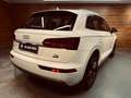 Audi Q5 2.0 TDI 120kW (163CV) quattro S tronic Blanc - thumbnail 25