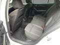 Skoda Octavia Combi 2.0 TDI Ambition DSG Navi LED Weiß - thumbnail 8