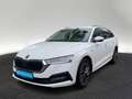 Skoda Octavia Combi 2.0 TDI Ambition DSG Navi LED Weiß - thumbnail 2