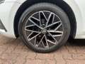 Skoda Octavia Combi 2.0 TDI Ambition DSG Navi LED Weiß - thumbnail 12