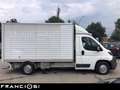 Peugeot Boxer 335 2.0 bluehdi 160cv CENTINATO ALLUMINIO E6 Weiß - thumbnail 8