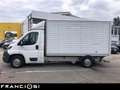 Peugeot Boxer 335 2.0 bluehdi 160cv CENTINATO ALLUMINIO E6 Weiß - thumbnail 6