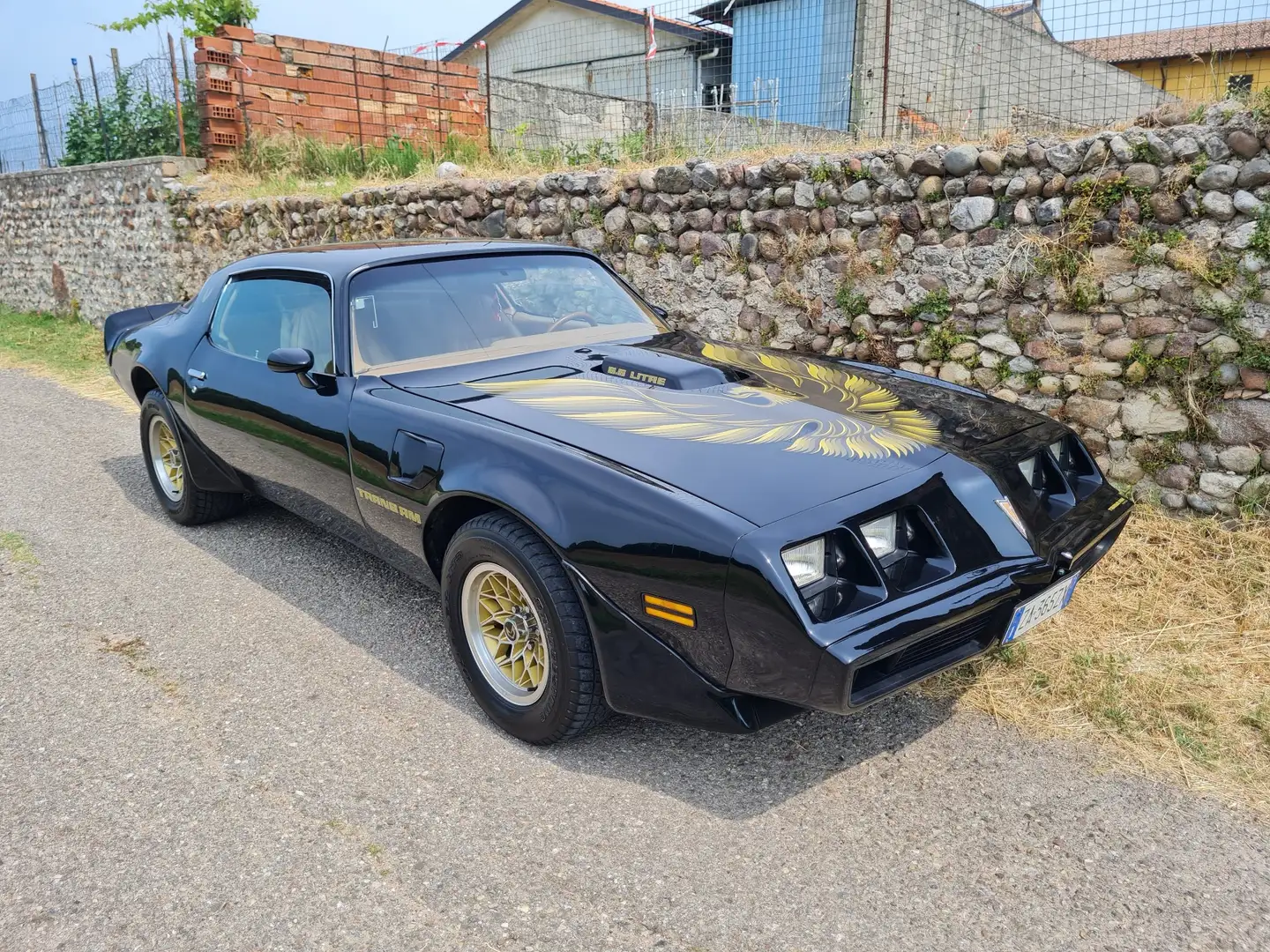 Pontiac Trans Am 6.6 V8 - 1