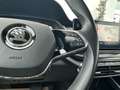 Skoda Octavia Combi 2,0 TDI Style DSG *AHK / Standheizung / P... Blau - thumbnail 18