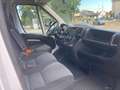 Fiat Ducato 140 MJET - DOPPIA CABINA - RIBALTABILE TR. Blanco - thumbnail 9