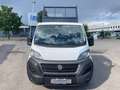 Fiat Ducato 140 MJET - DOPPIA CABINA - RIBALTABILE TR. Blanco - thumbnail 3
