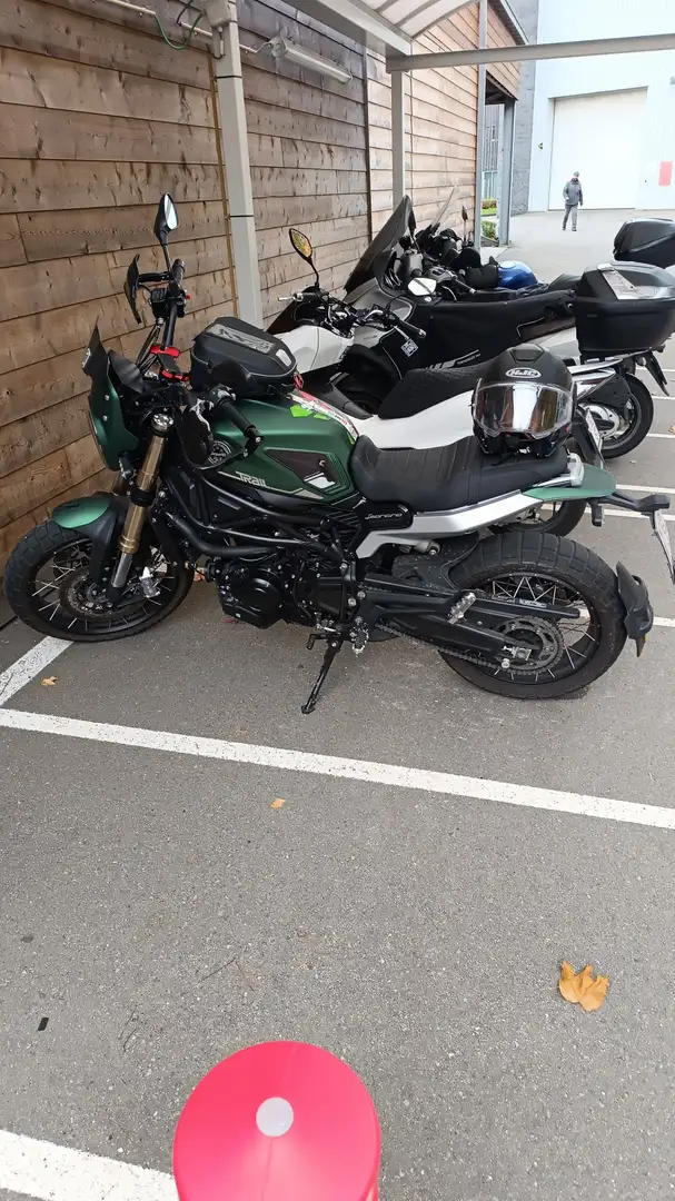 Benelli Leoncino Benelli Leoncino trail 800 Vert - 1