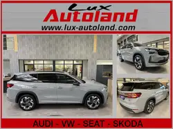Skoda Kodiaq TDI 142 kW 4x4 Sportline Pano 5JG AHK